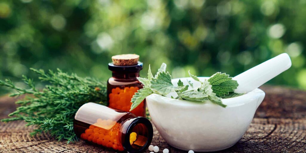 plant medicine owfrmV.tmp doKIw
