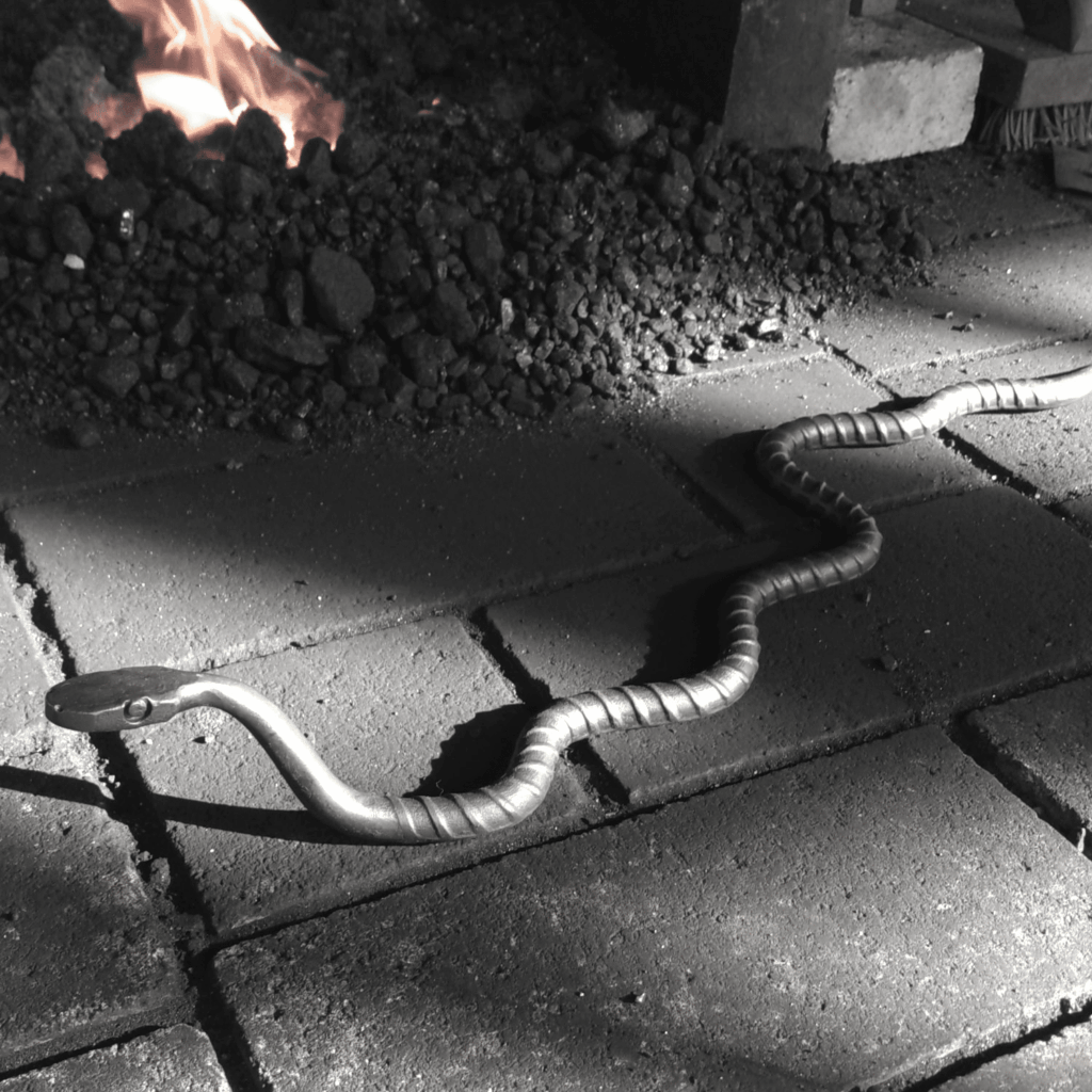 rebar snake class image square wAAI rpkixG