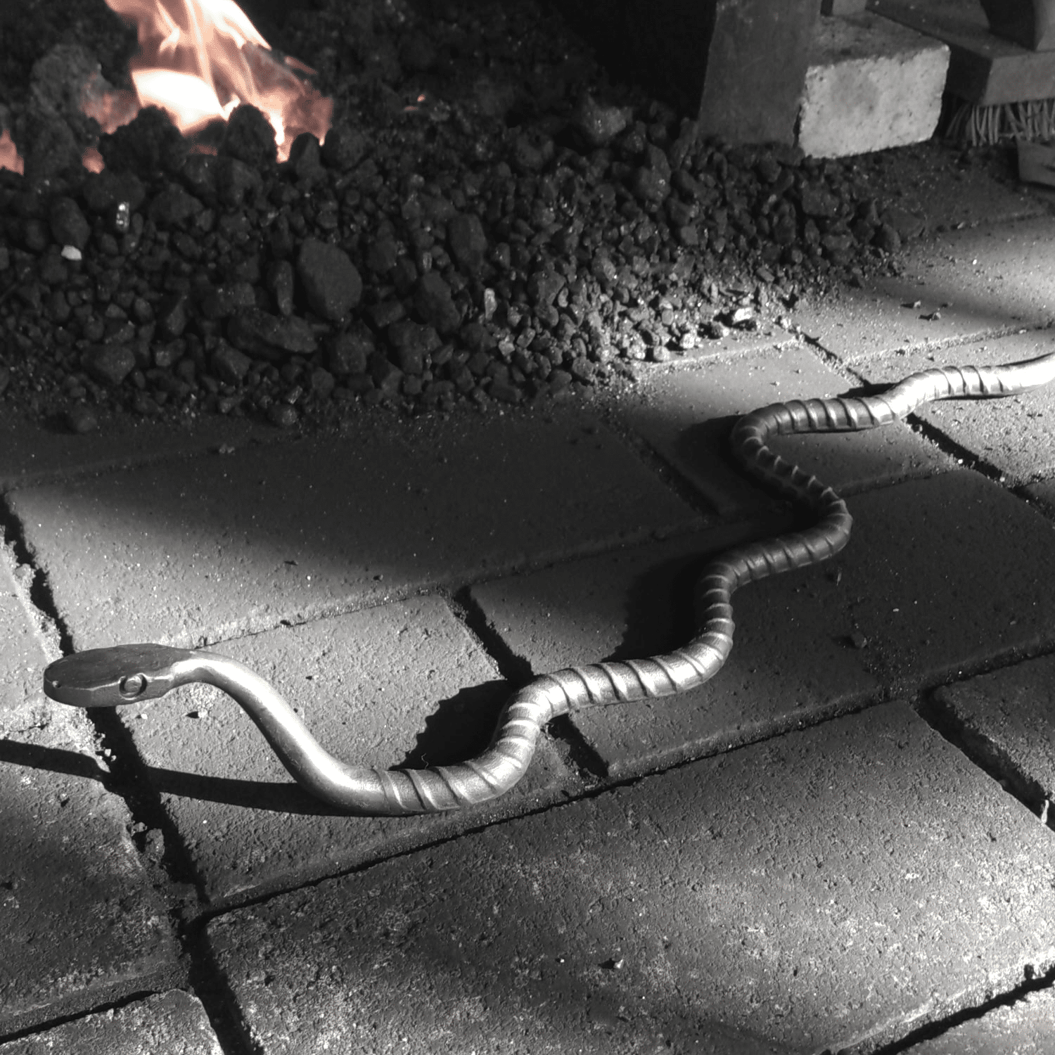 rebar snake class image square wAAI rpkixG